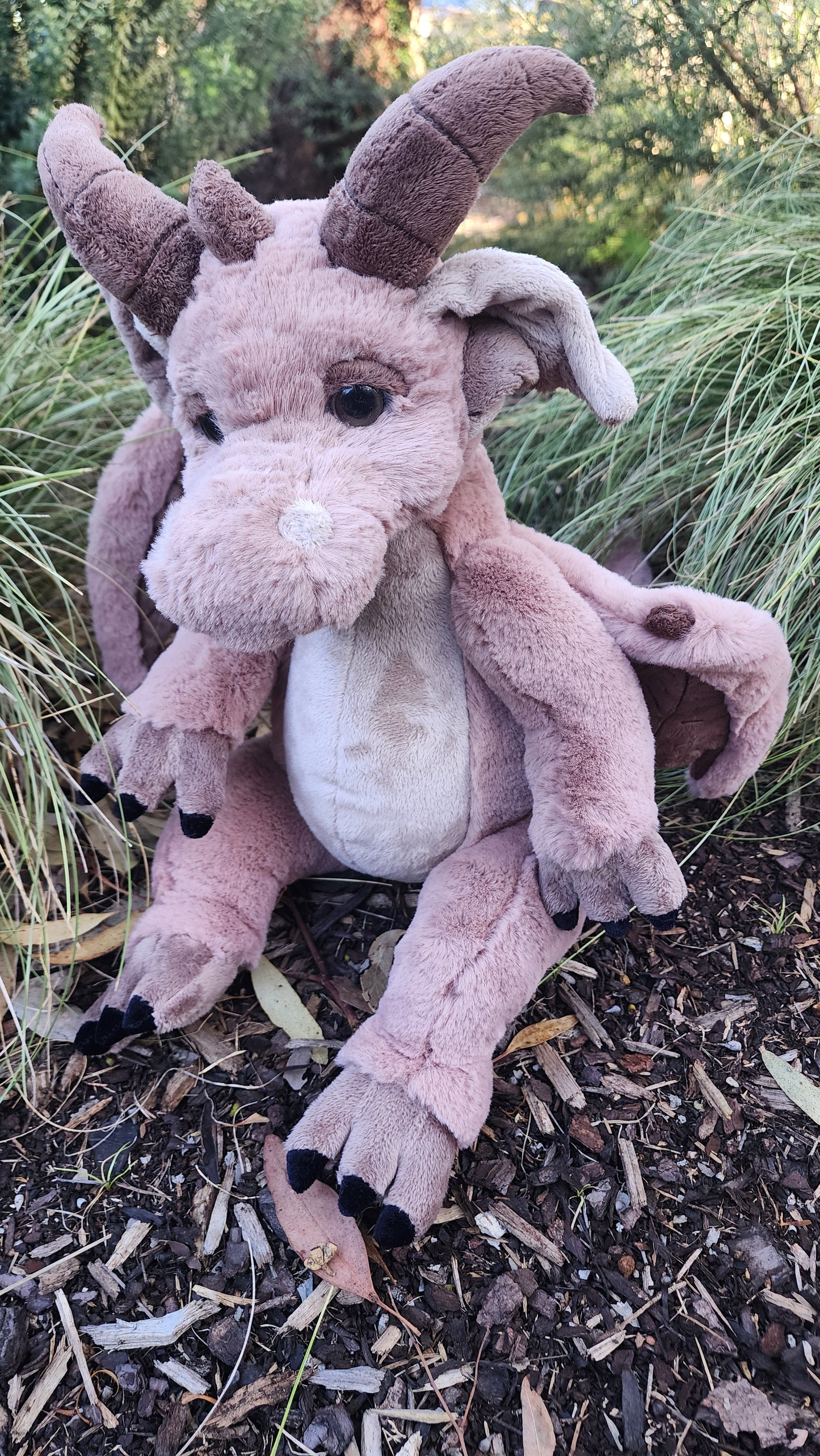 2025 CHARLIE SIGNATURE BEAR FELDSPAR