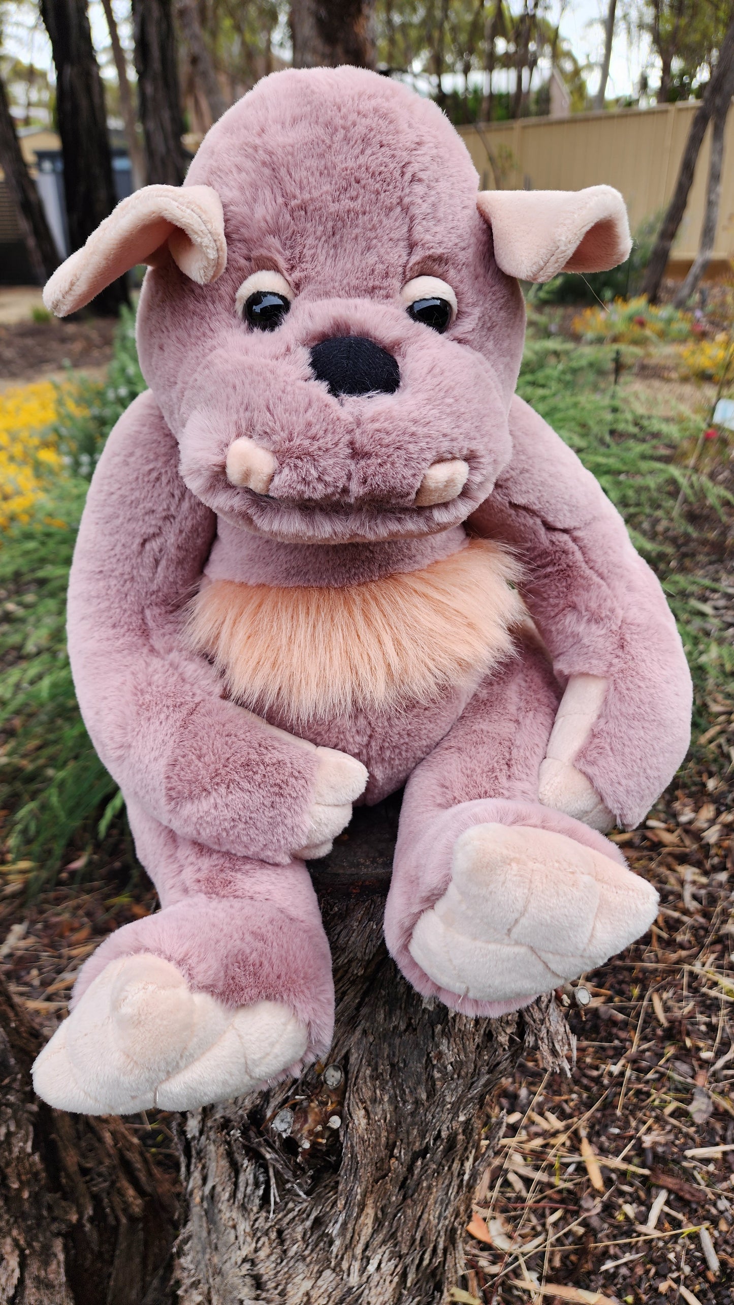 2025 CHARLIE BEARS BEARHOUSE BOULDER