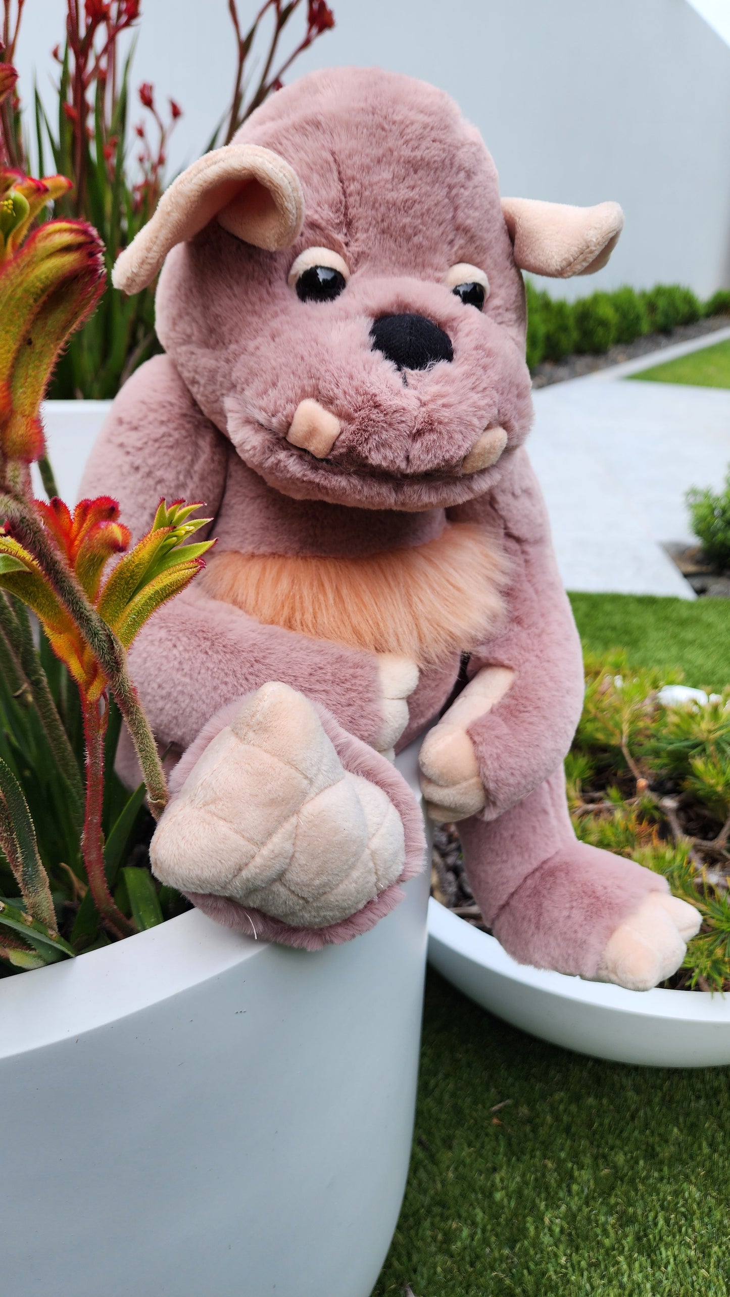 2025 CHARLIE BEARS BEARHOUSE BOULDER