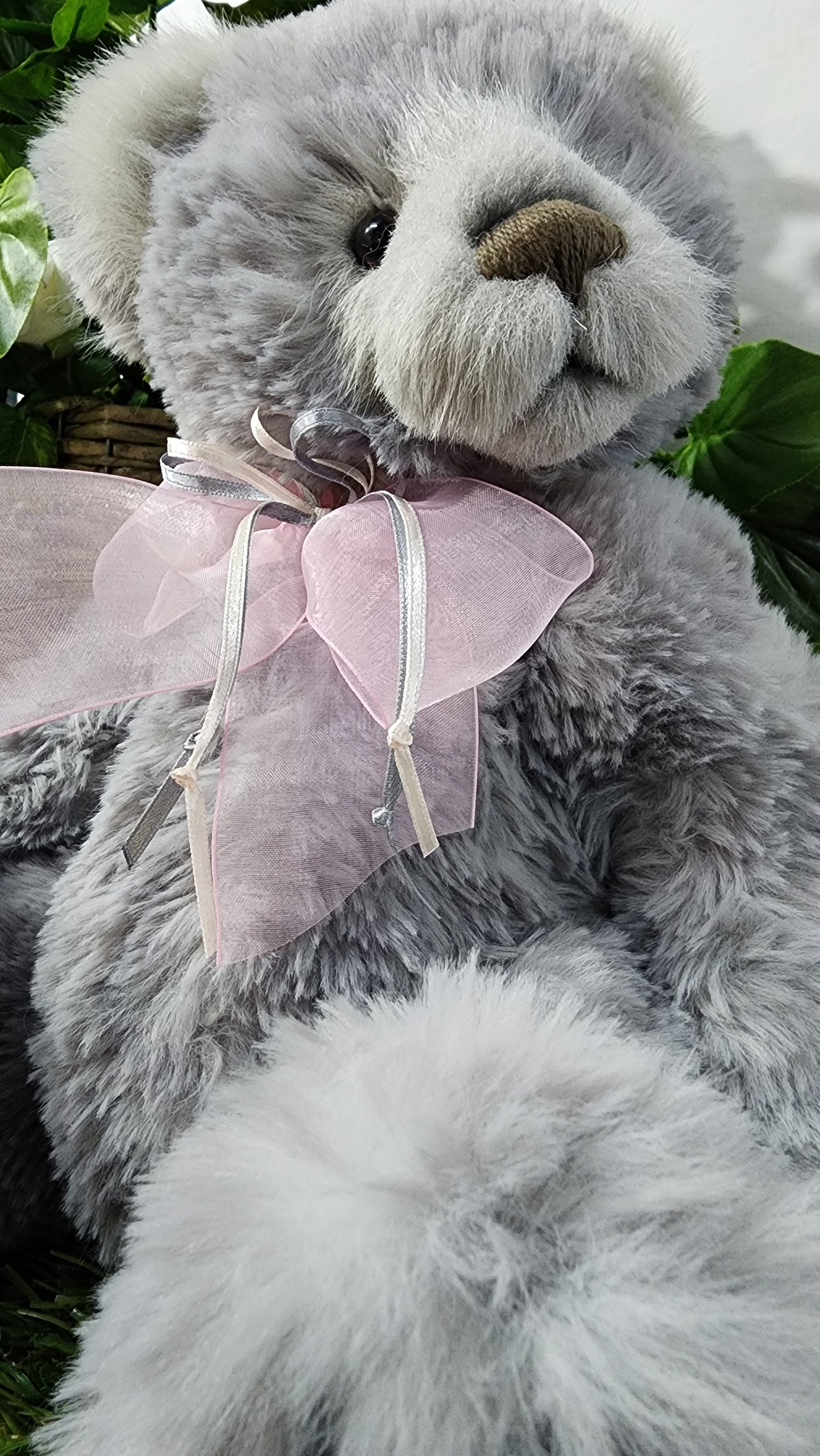 2026 CHARLIE BEAR SOPHIE-LOUISE