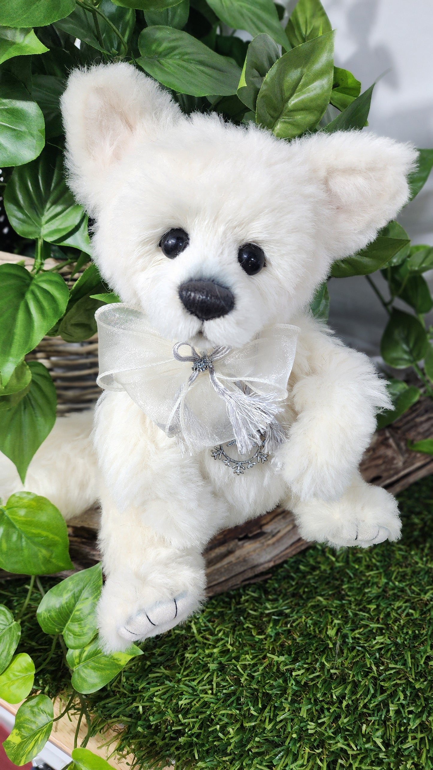 ISABELLE COLLECTION UNO
