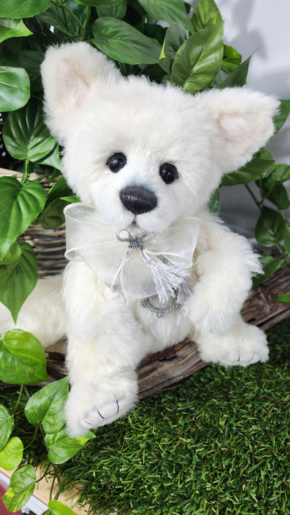 ISABELLE COLLECTION UNO