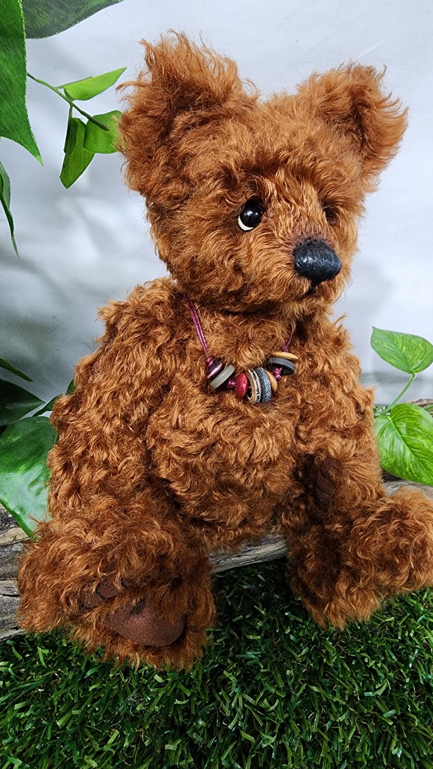 2026 ISABELLE COLLECTION DIDYMUS