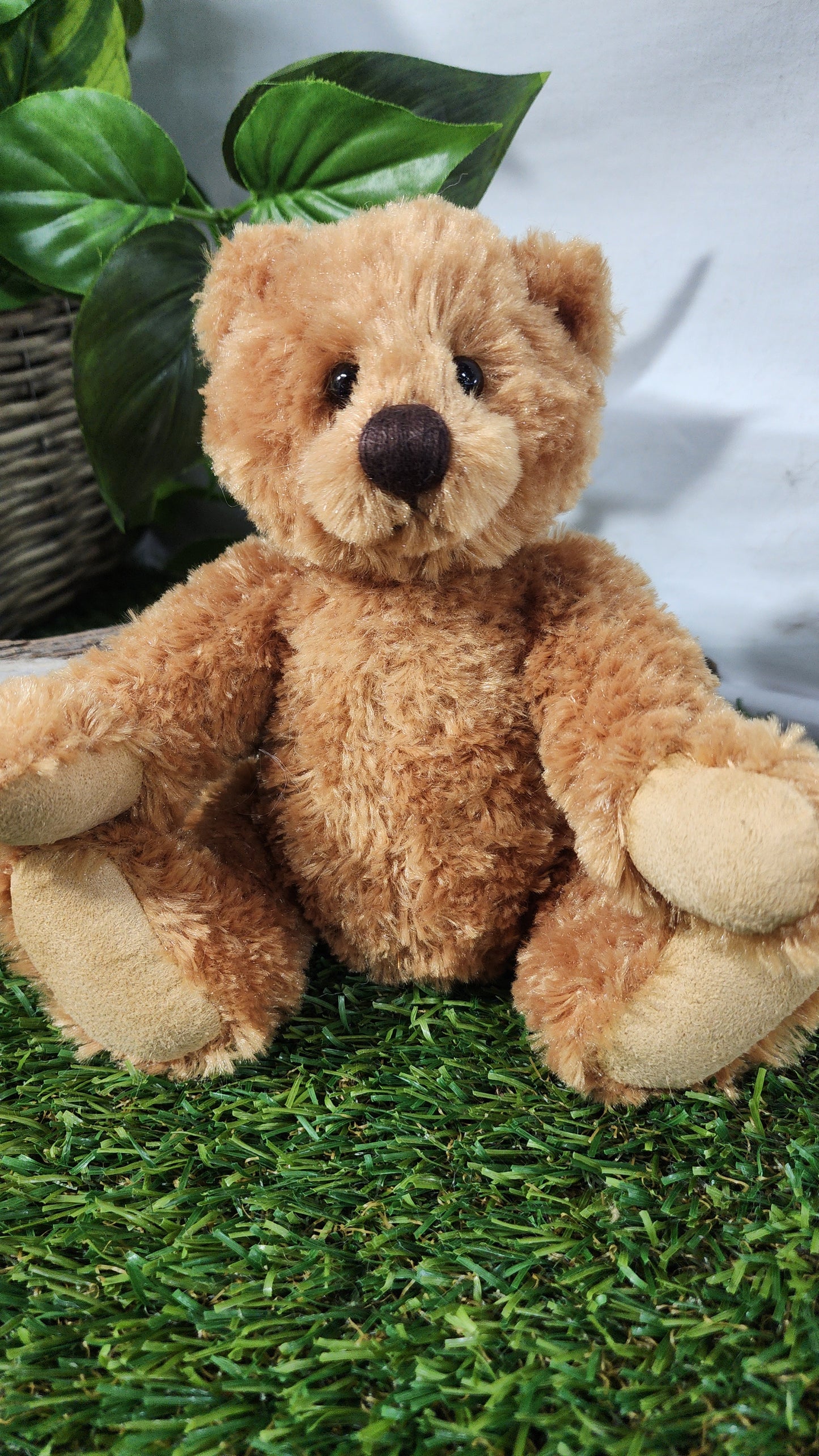 2026 CHARLIE BEAR HUGGABLE HARRY