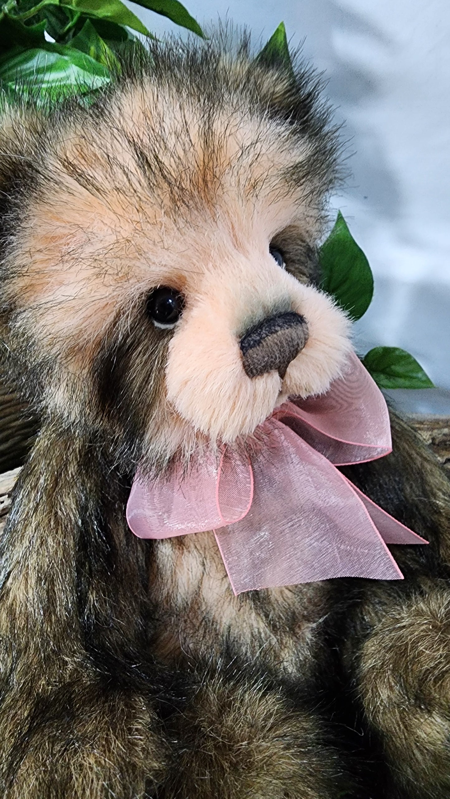 2026 CHARLIE BEAR SERENITY