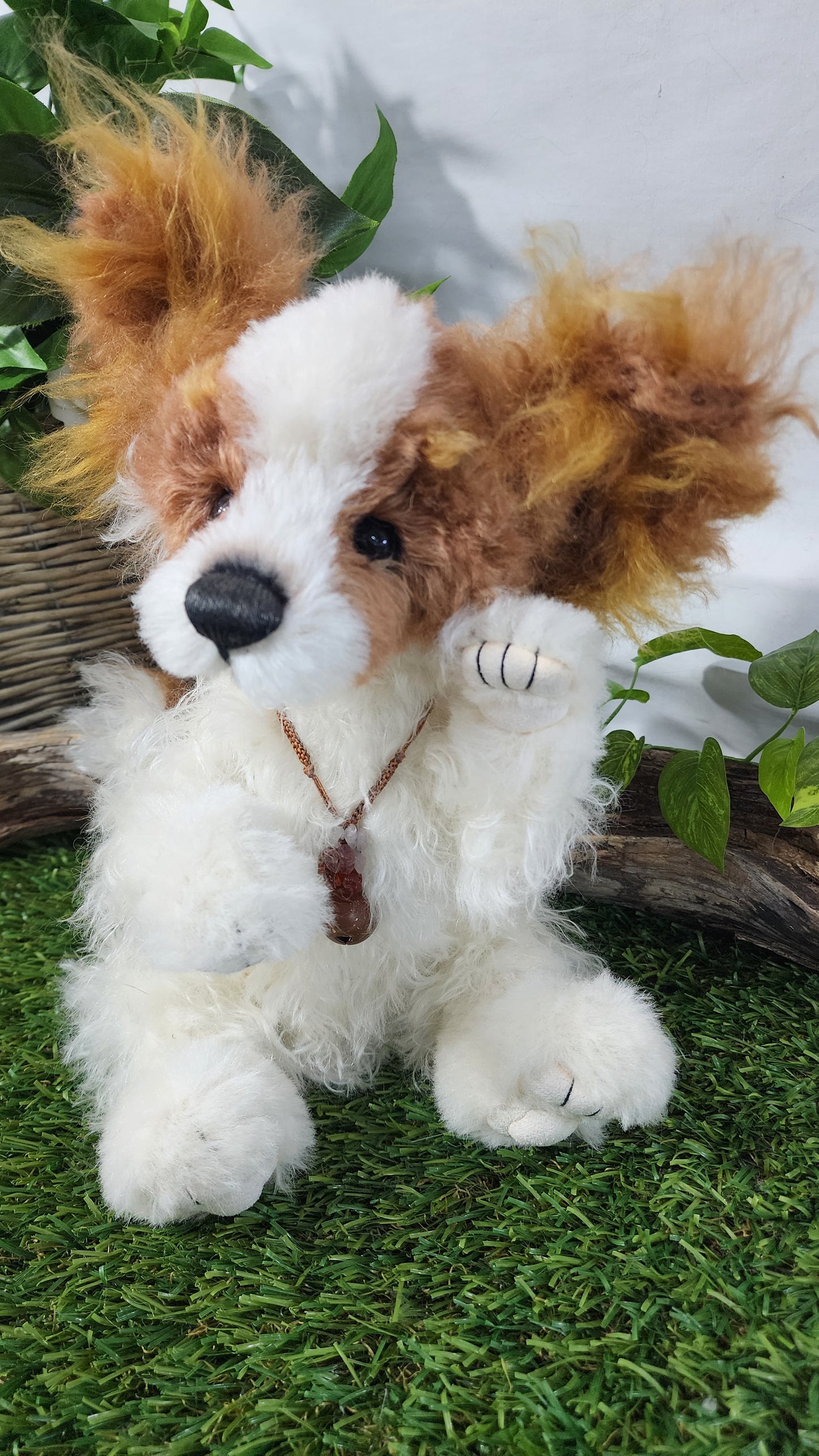 2026 ISABELLE COLLECTION MUNCHKIN