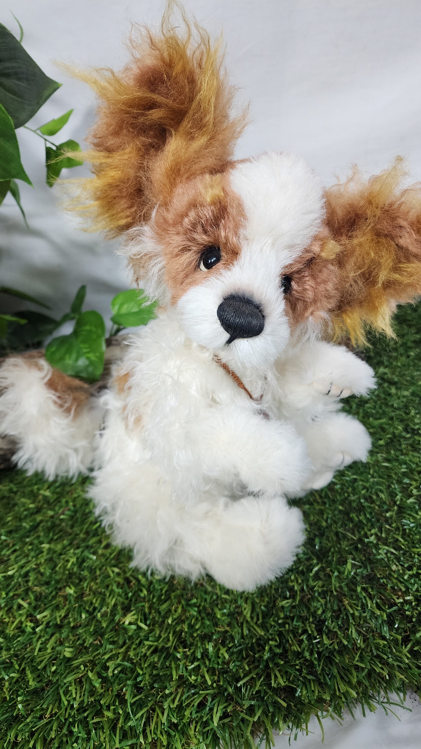 2026 ISABELLE COLLECTION MUNCHKIN