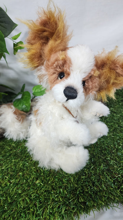 2026 ISABELLE COLLECTION MUNCHKIN