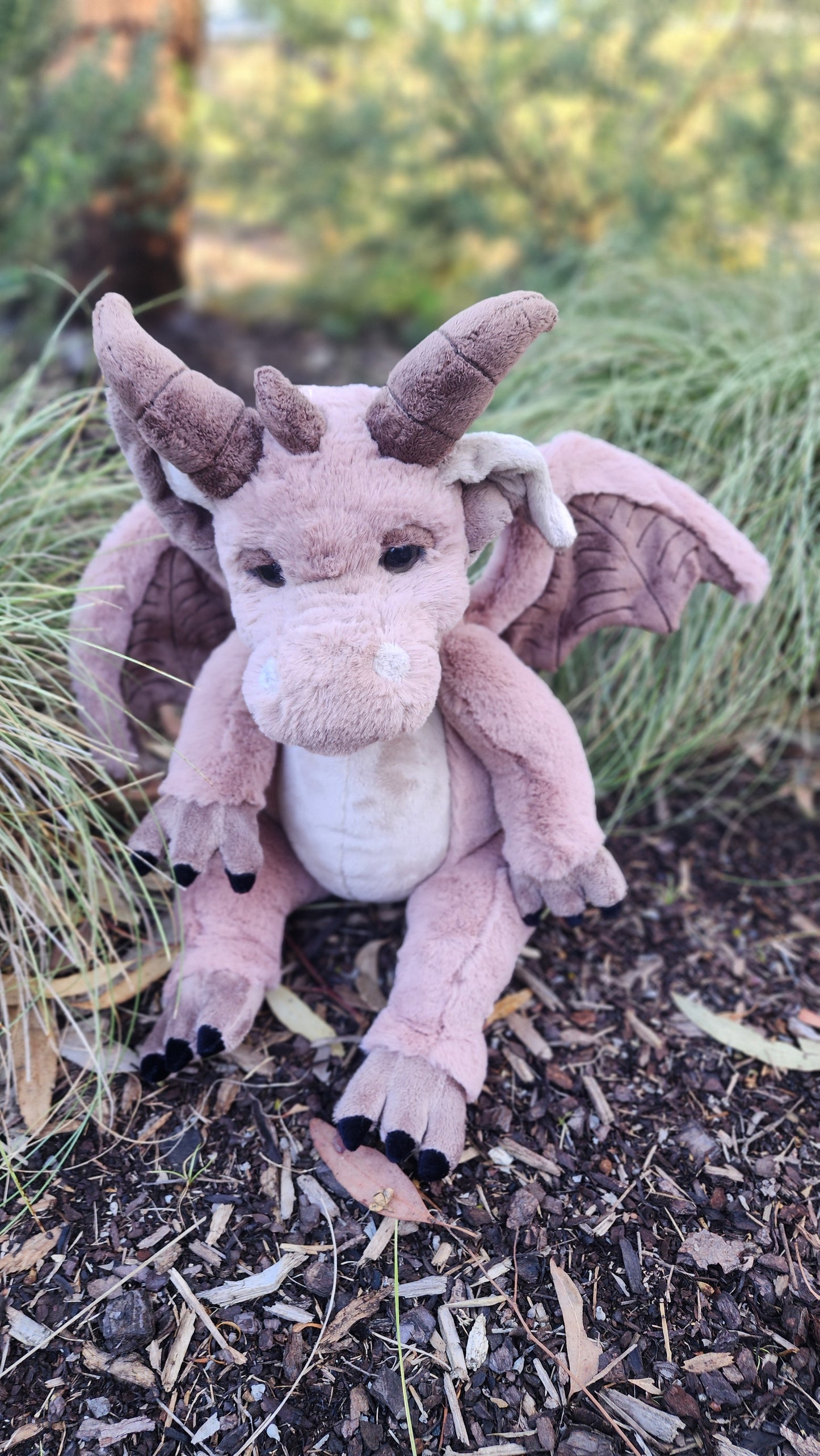 2025 CHARLIE SIGNATURE BEAR FELDSPAR