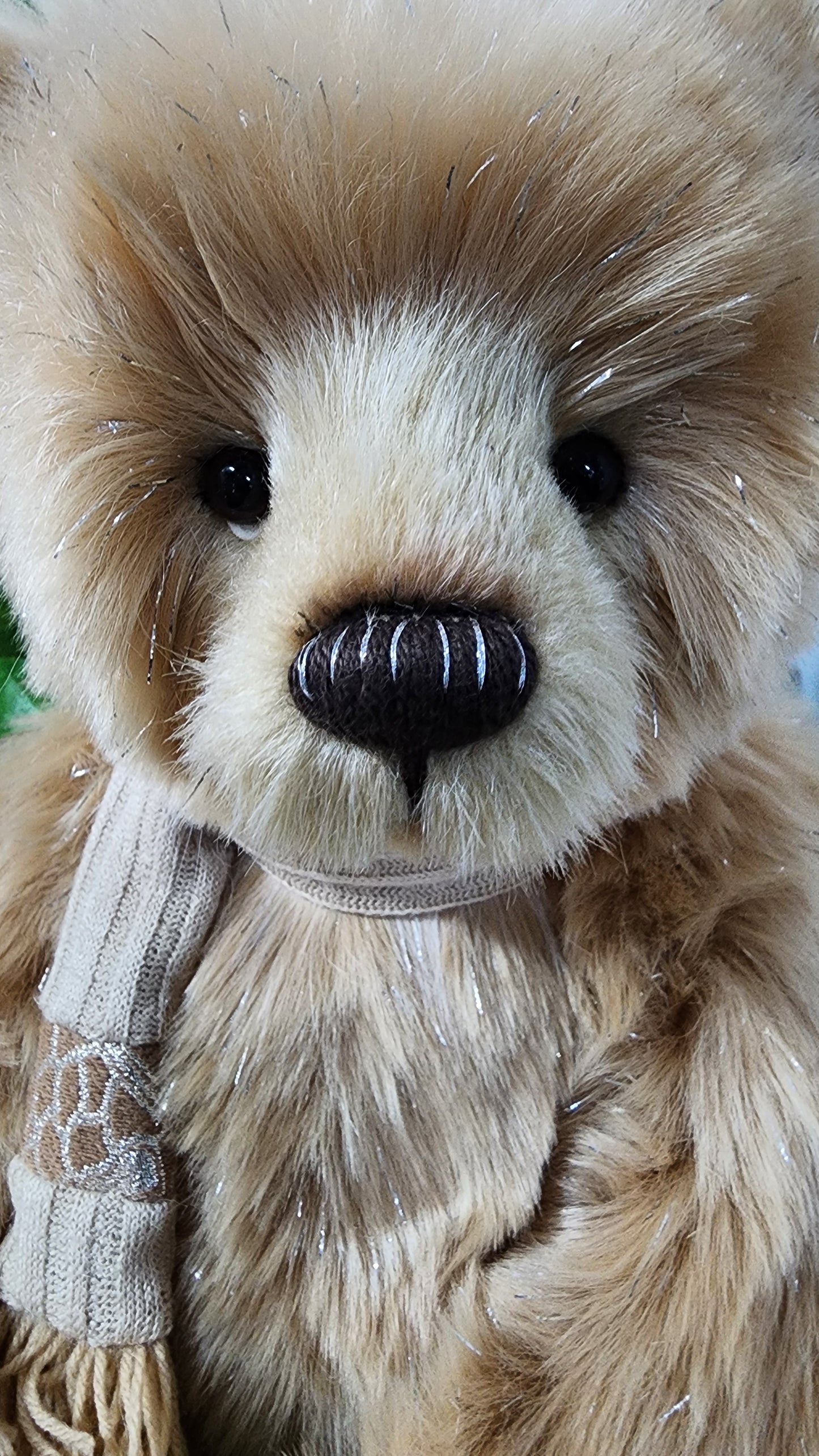 2026 CHARLIE BEAR COOKIE CRUMBS