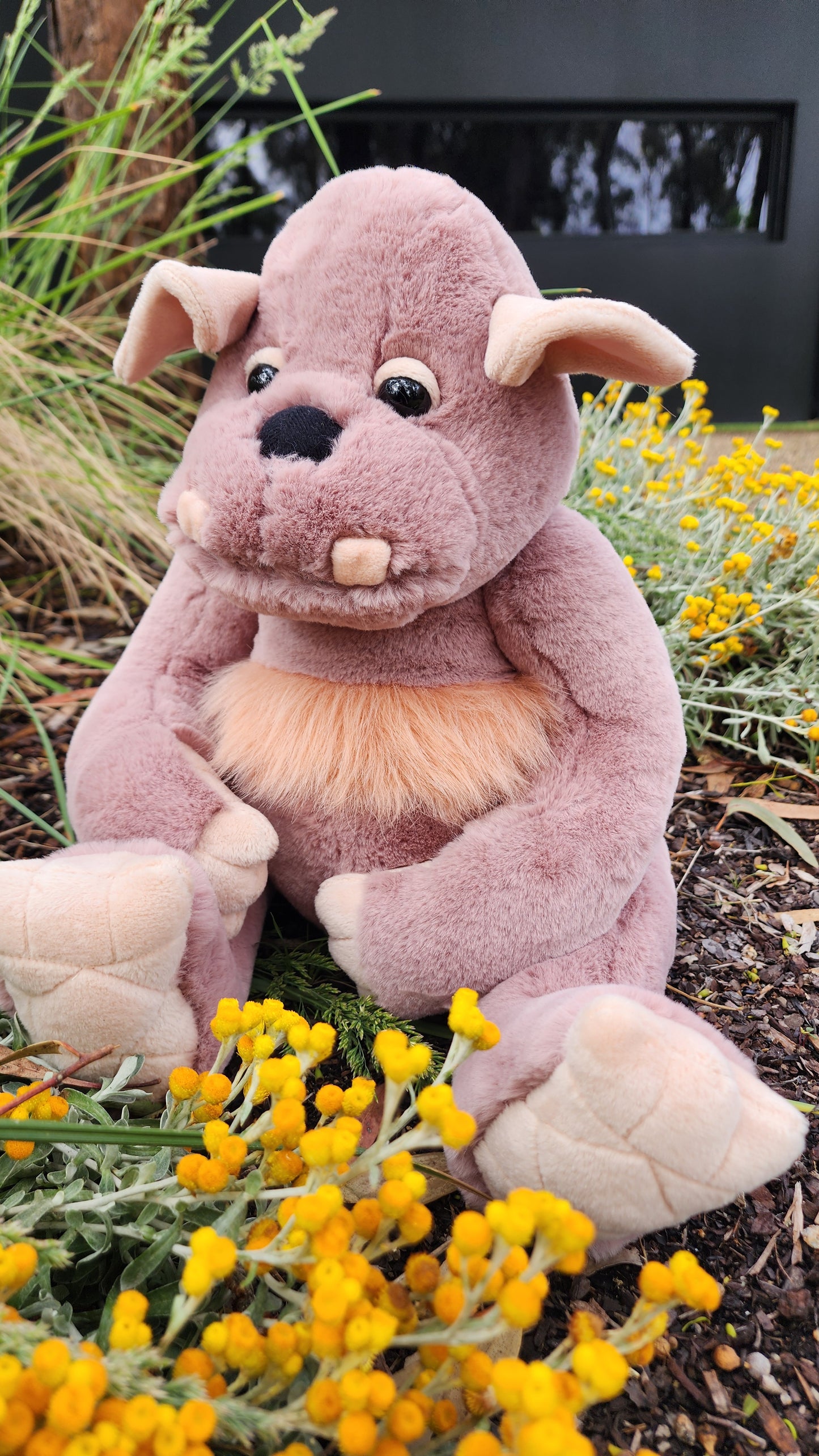 2025 CHARLIE BEARS BEARHOUSE BOULDER