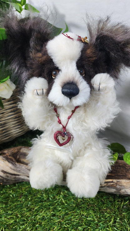 2026 ISABELLE COLLECTION TRIXIBELLE