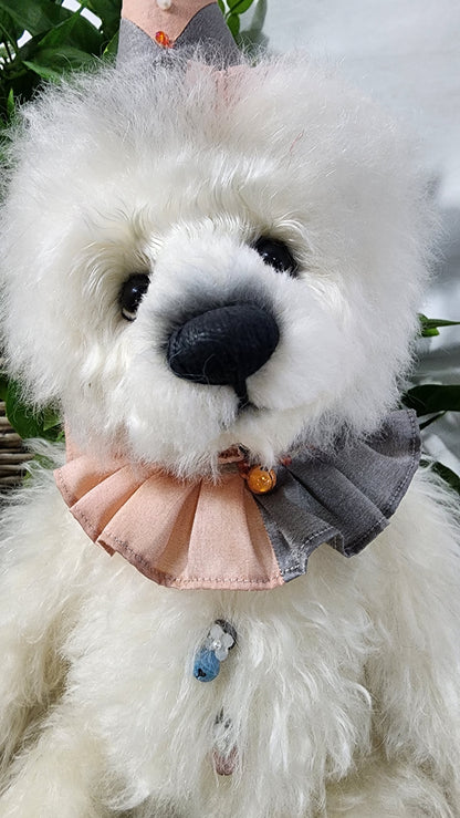 2025 ISABELLE COLLECTION COLVIG