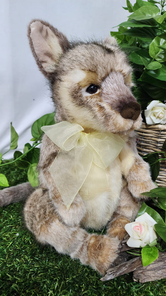 CHARLIE BEAR AUSTRALIA