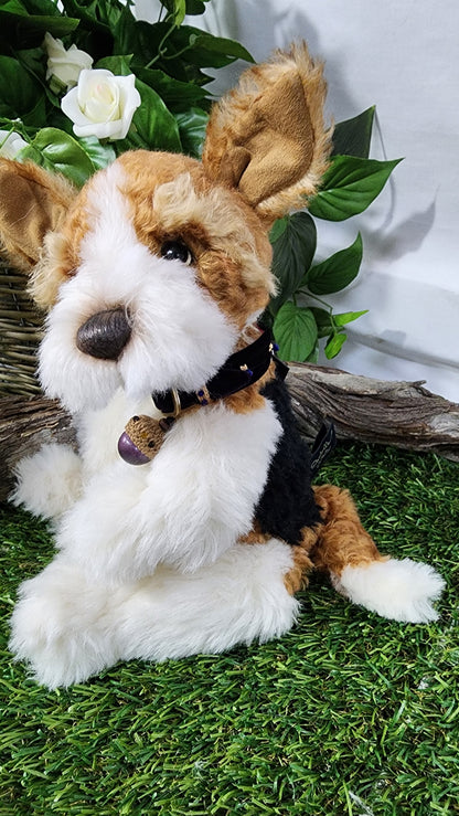 ISABELLE COLLECTION WIGGLESWORTH