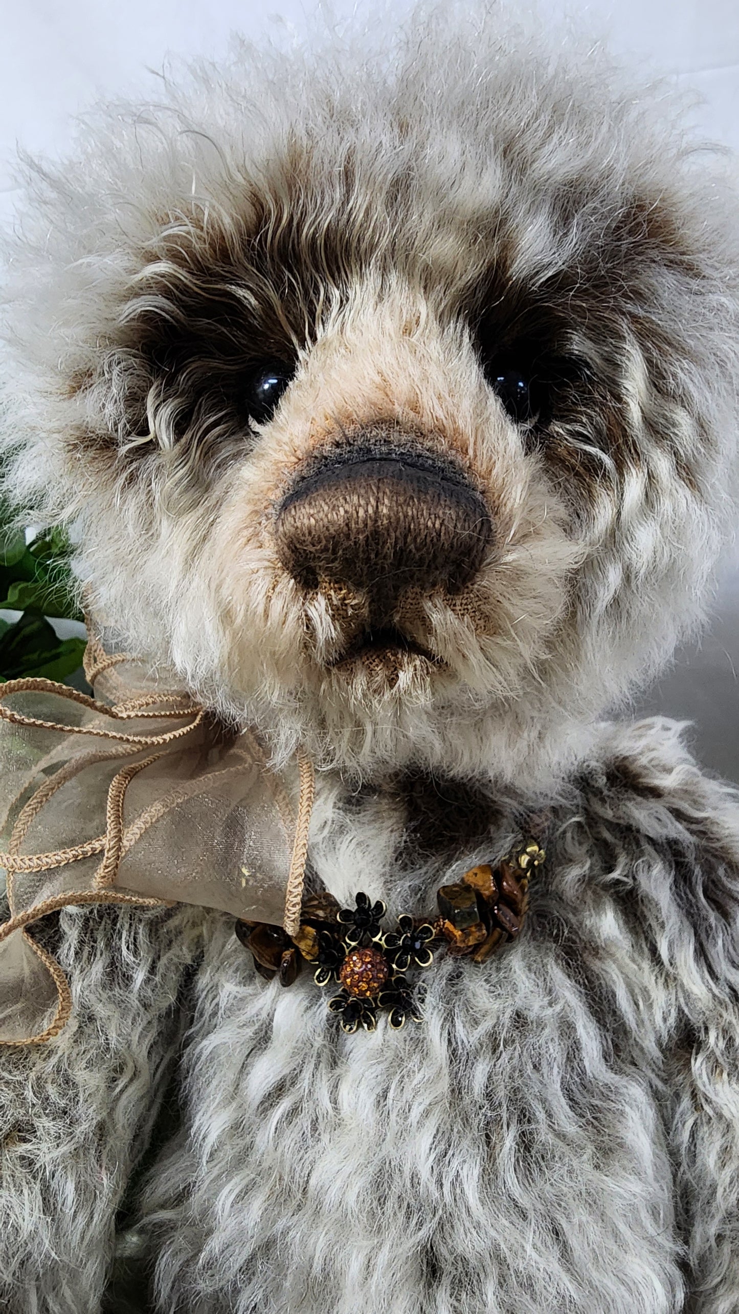 2025 ISABELLE COLLECTION MRS WILLIAMS