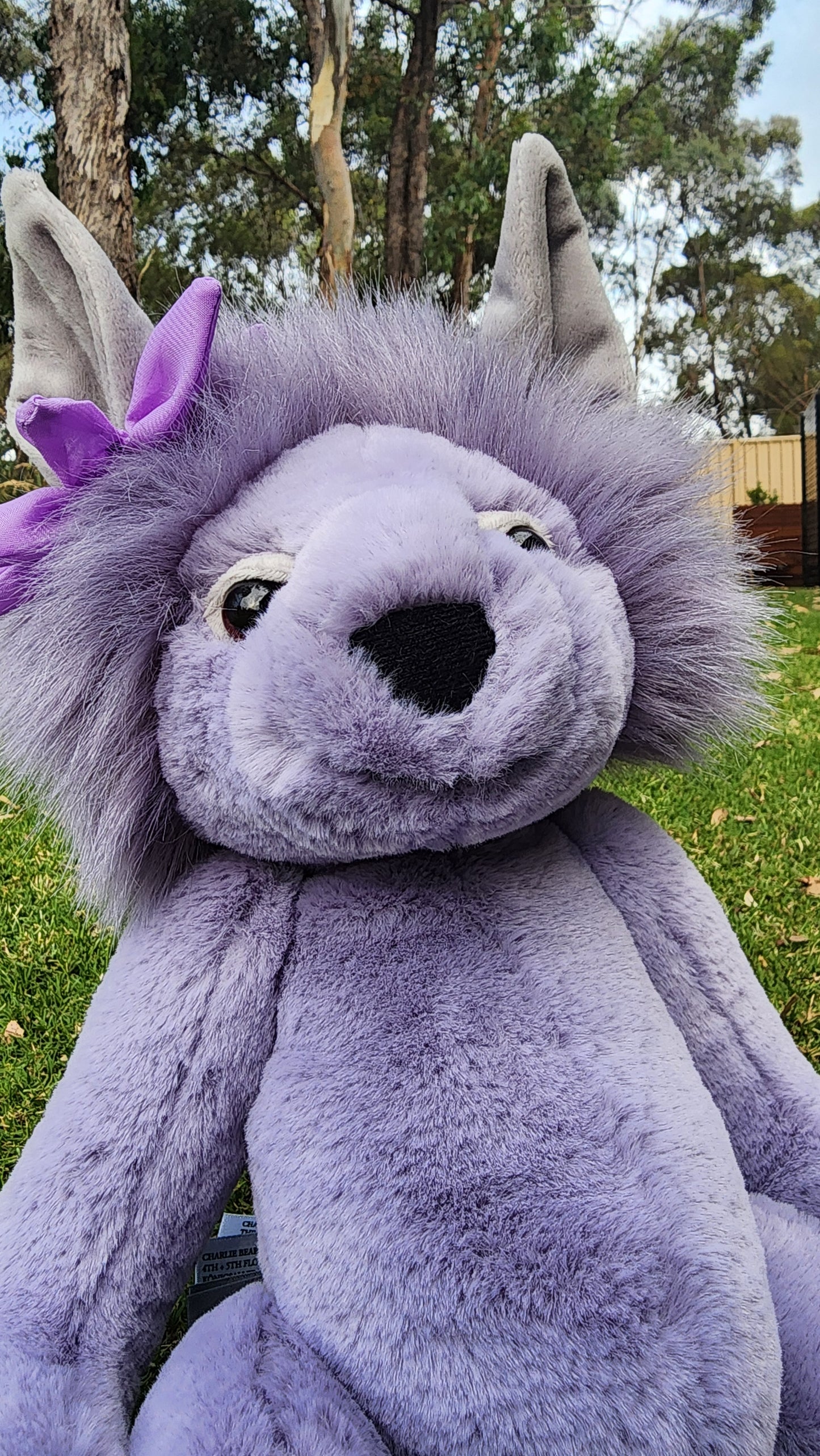 BEARHOUSE BY CB AMETHYST BOO