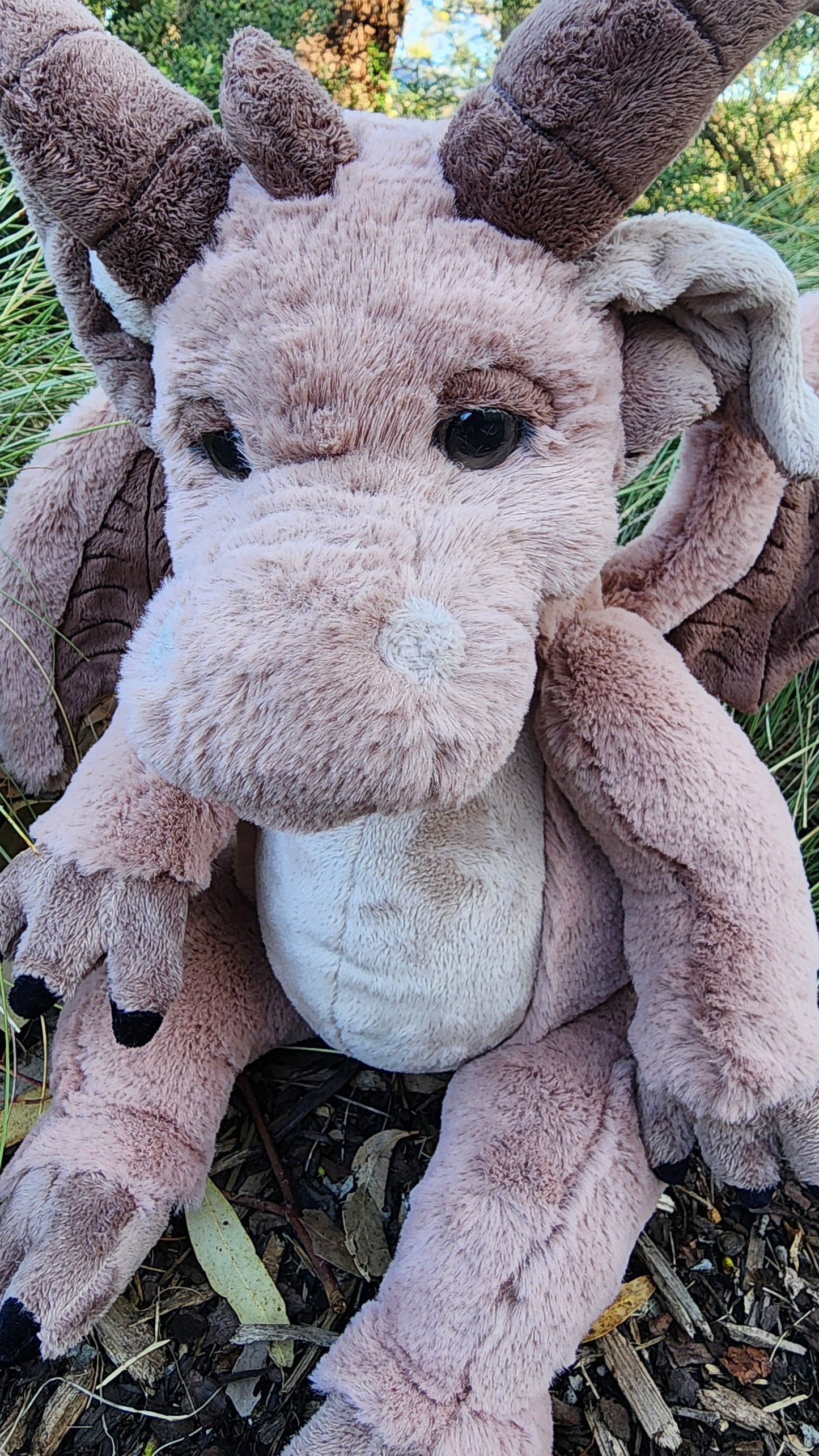 2025 CHARLIE SIGNATURE BEAR FELDSPAR