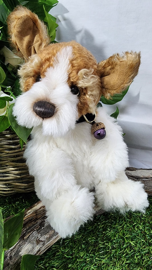 ISABELLE COLLECTION WIGGLESWORTH