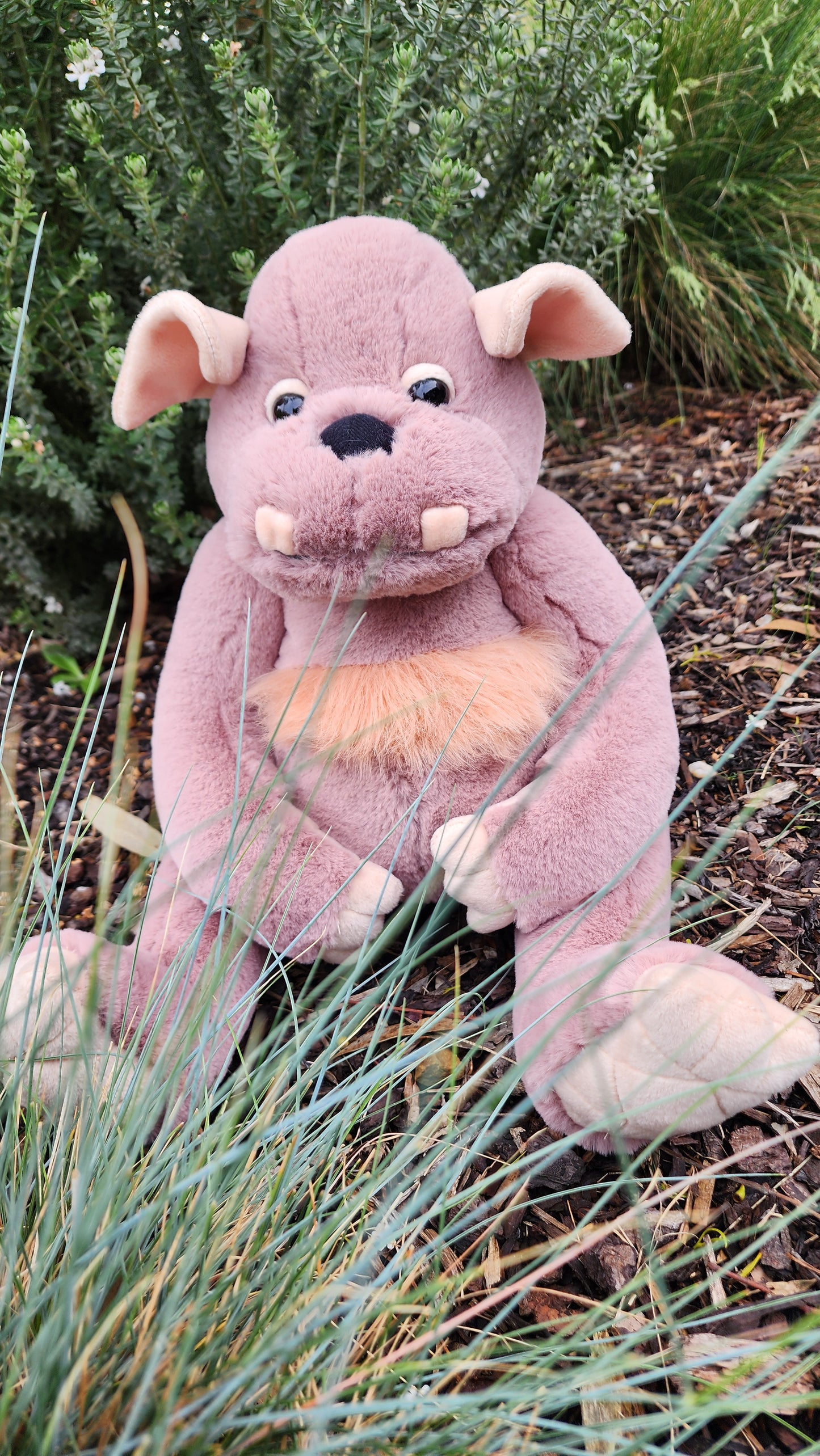 2025 CHARLIE BEARS BEARHOUSE BOULDER