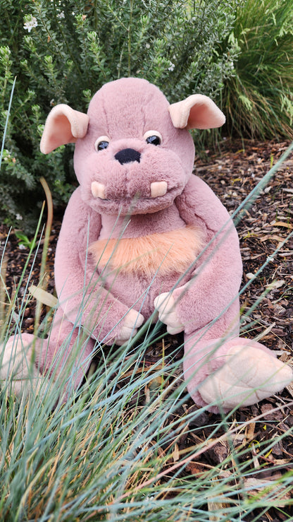 2025 CHARLIE BEARS BEARHOUSE BOULDER