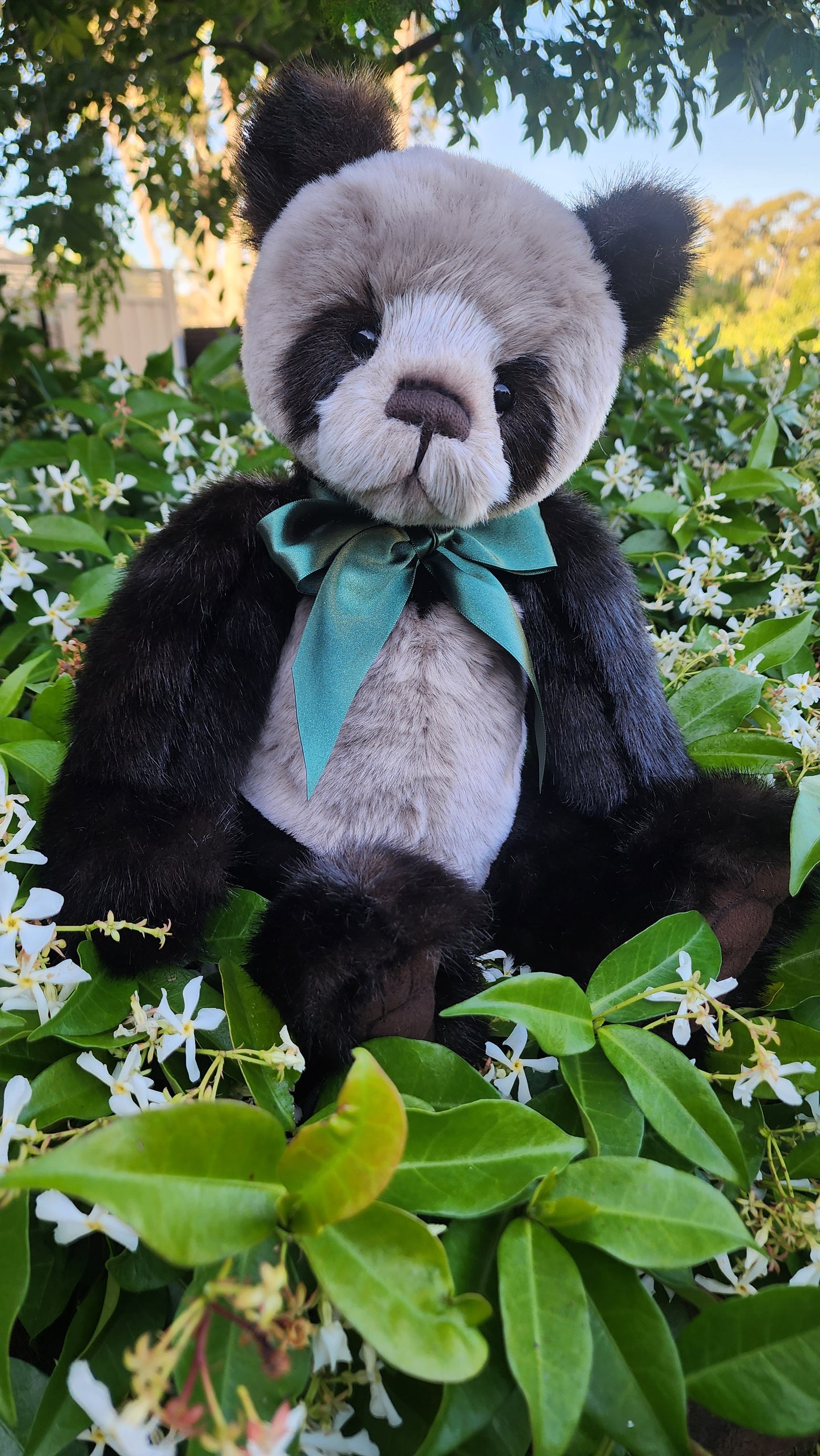 2025 CHARLIE BEARS BOTWOOD