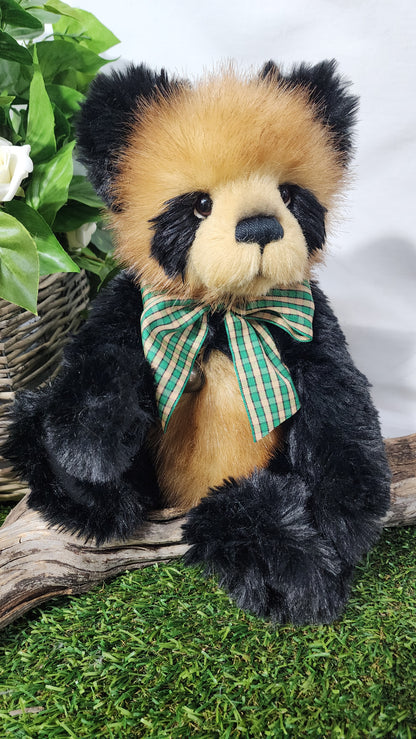 2026 CHARLIE BEAR COLLINS