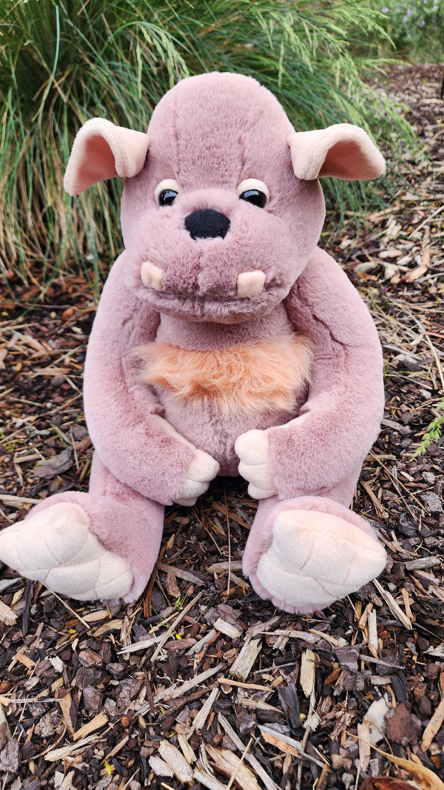 2025 CHARLIE BEARS BEARHOUSE BOULDER