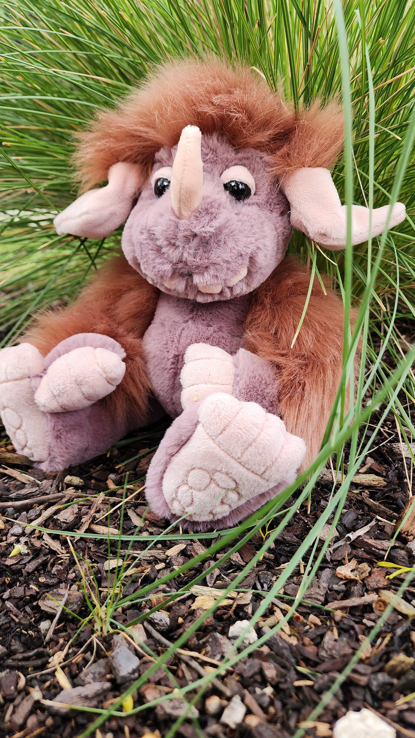 2025 CHARLIE BEARS BEARHOUSE PEBBLE