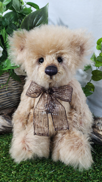2026 ISABELLE COLLECTION TIMMS