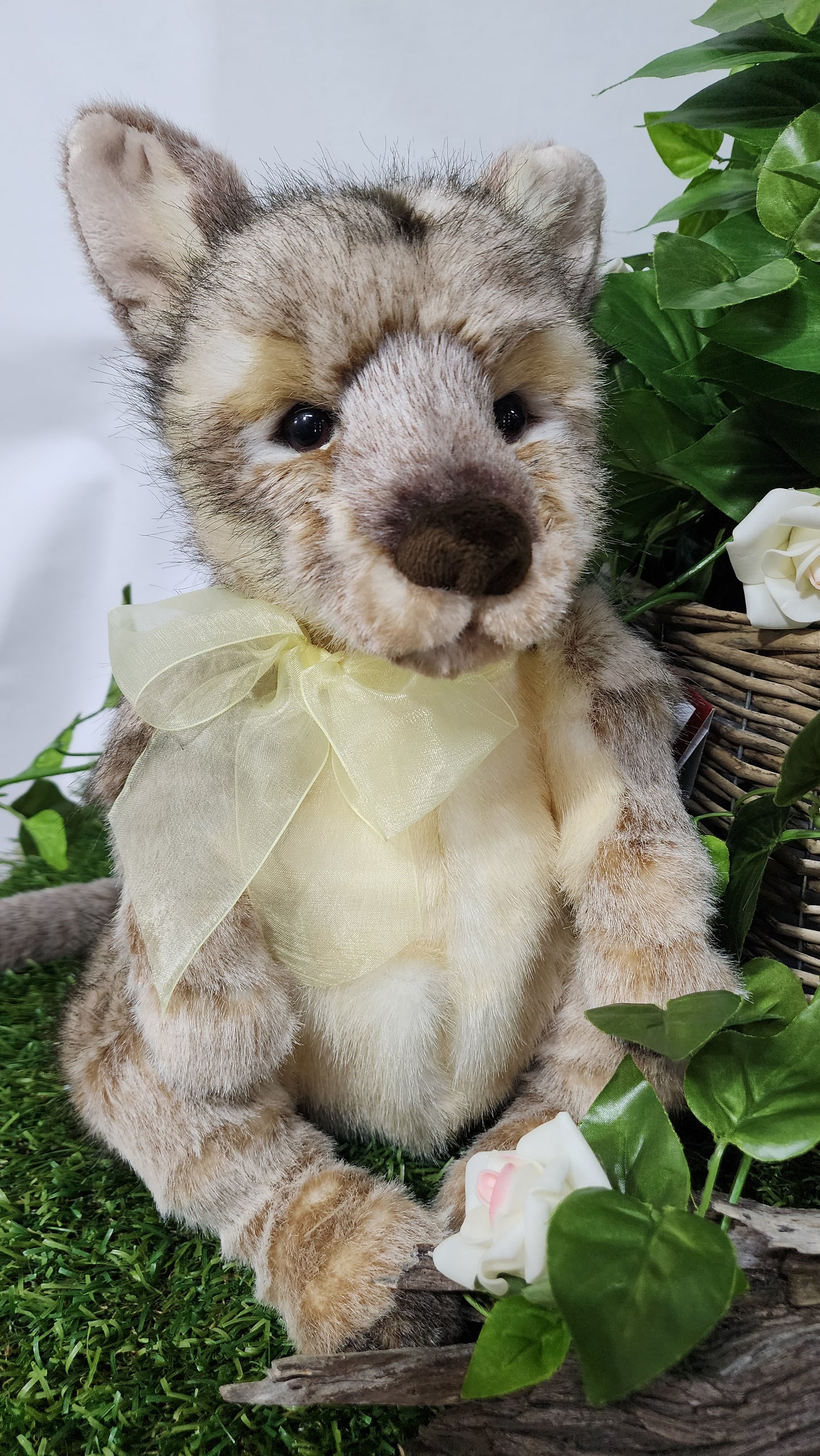 CHARLIE BEAR AUSTRALIA