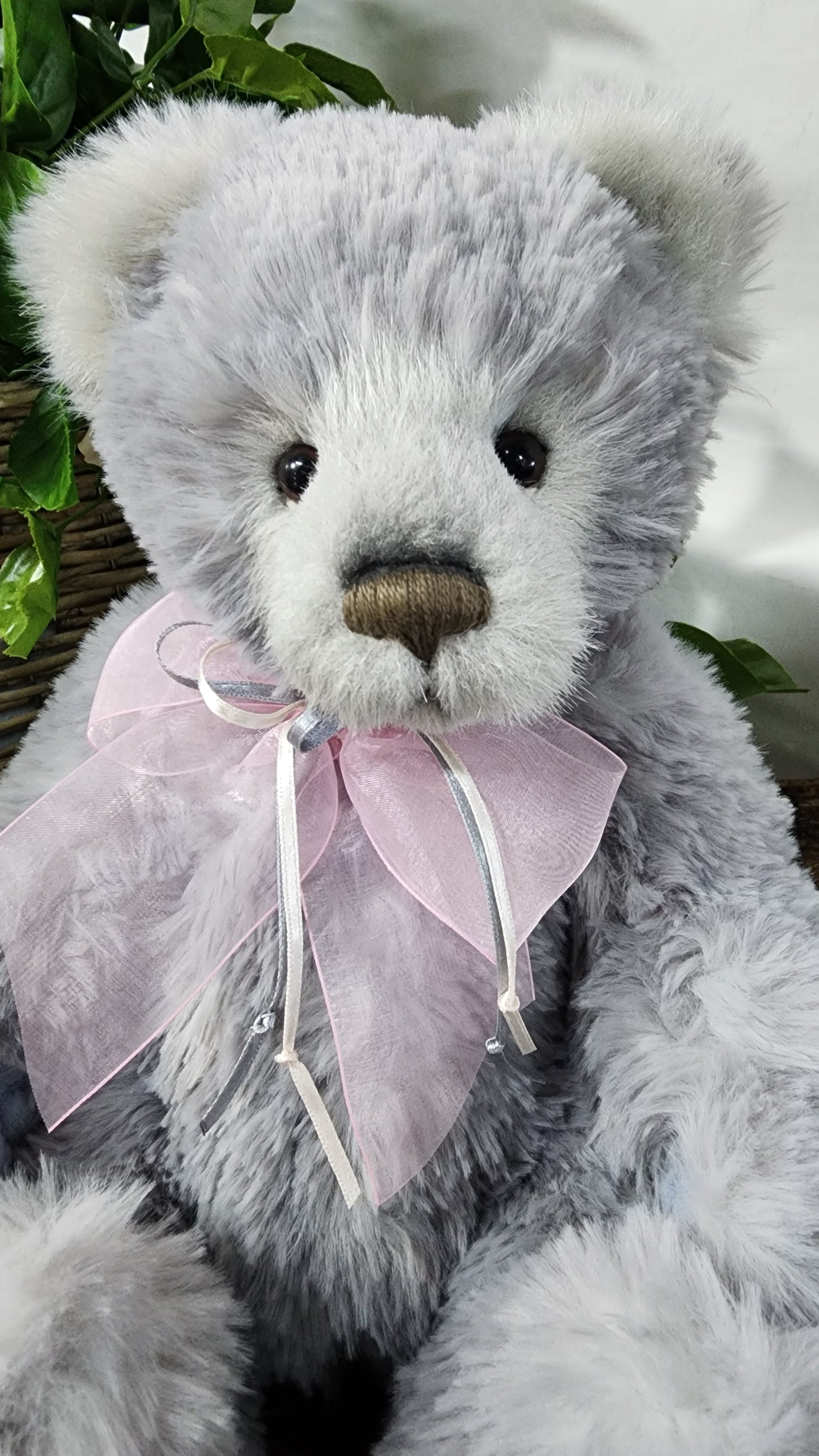2026 CHARLIE BEAR SOPHIE-LOUISE