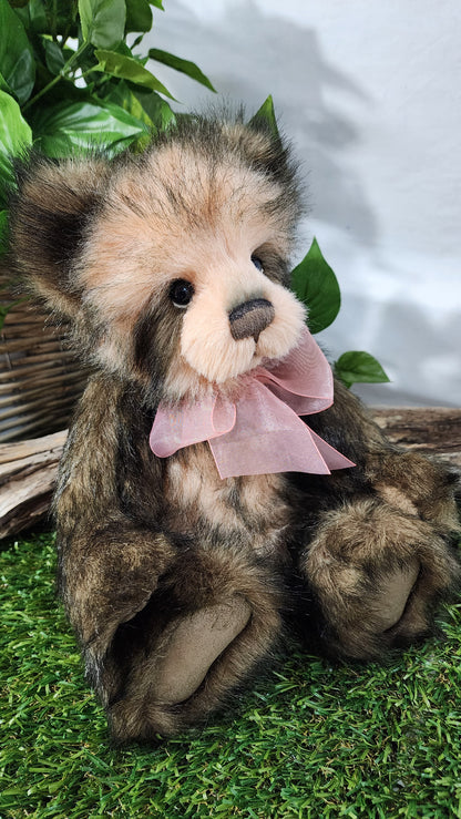 2026 CHARLIE BEAR SERENITY
