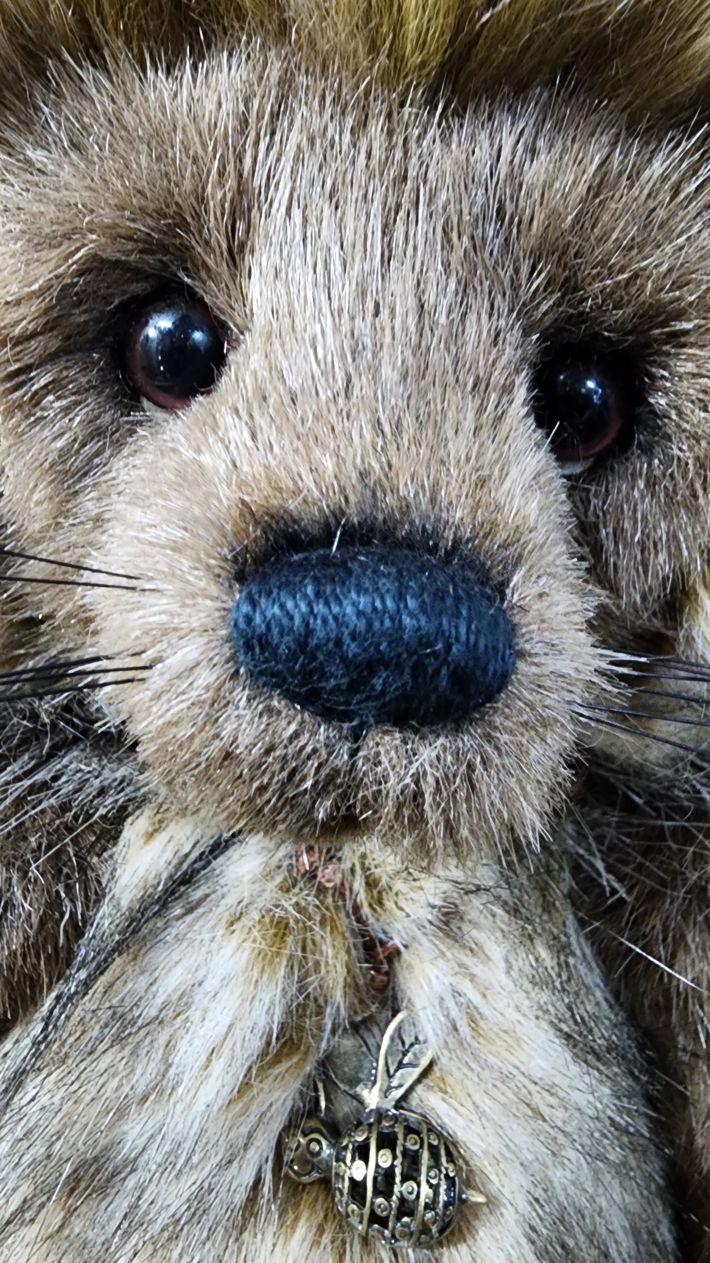 CHARLIE SIGNATURE BEAR TIZZIE WHIZIE