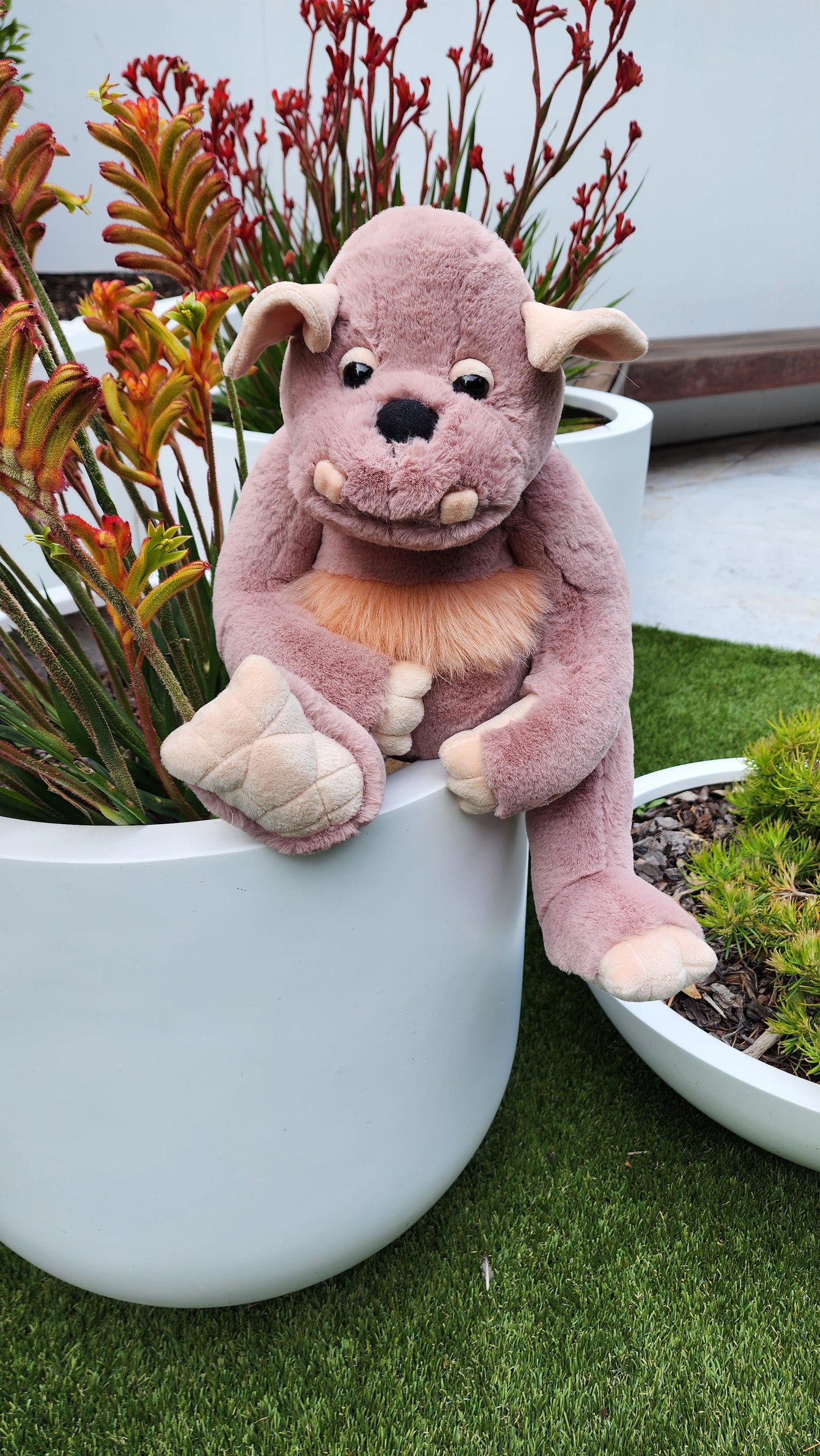 2025 CHARLIE BEARS BEARHOUSE BOULDER