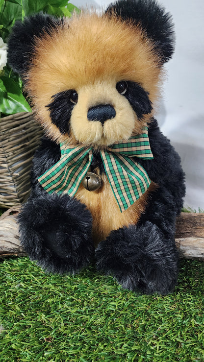 2026 CHARLIE BEAR COLLINS