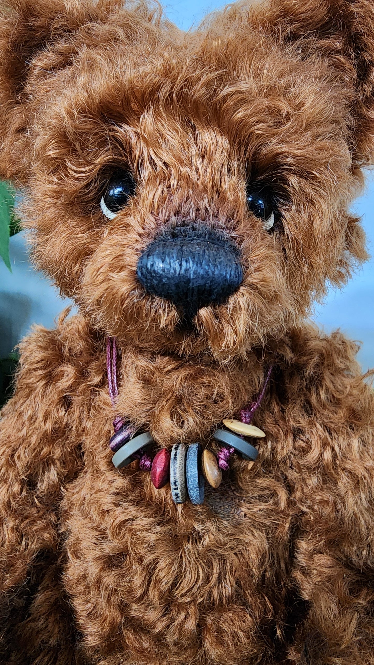 2026 ISABELLE COLLECTION DIDYMUS