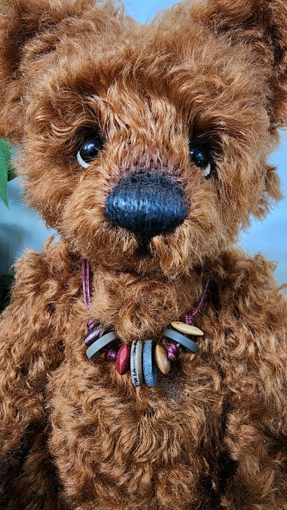 2026 ISABELLE COLLECTION DIDYMUS