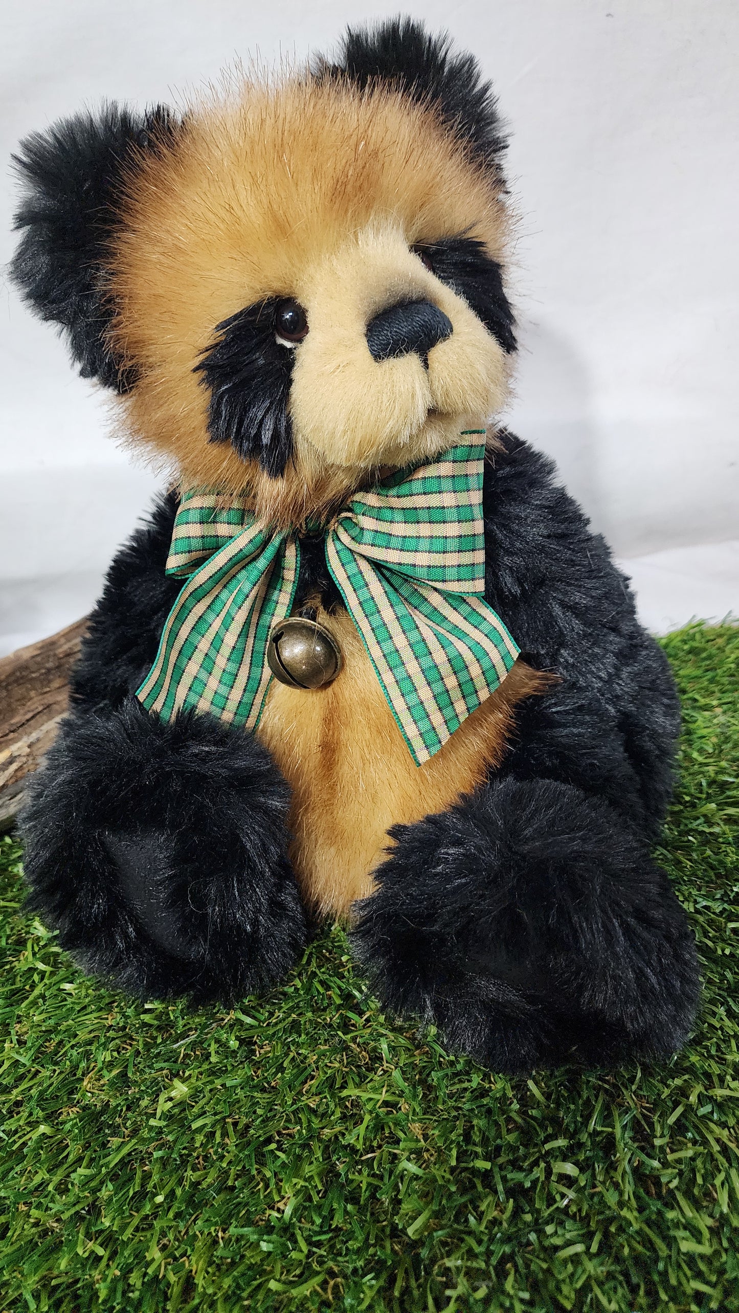 2026 CHARLIE BEAR COLLINS