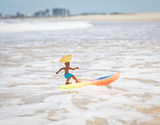 SURFER DUDES