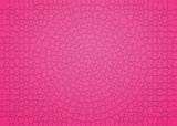 PUZZLE 654PC KRYPT PINK SPIRAL