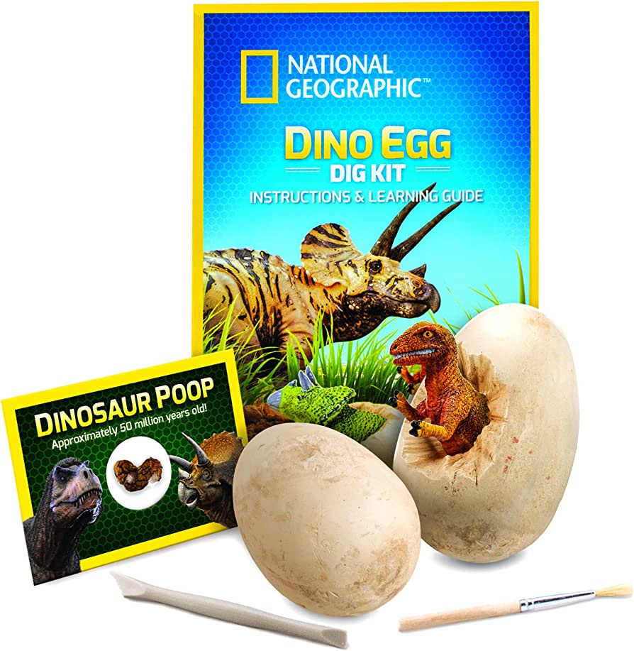 NG DINO EGG DIG KIT