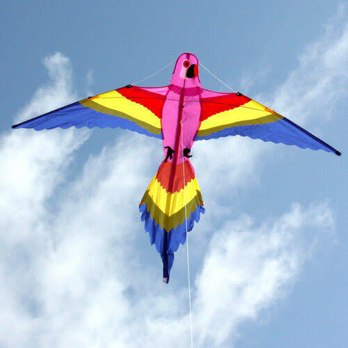 OCEAN BREEZE LORIKEET KITE