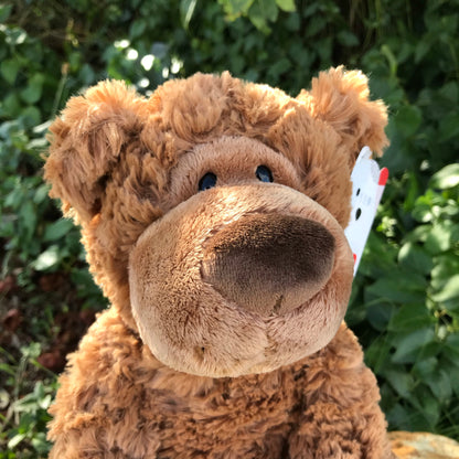 GUND BEAR GRAHN 30.5CM BROWN