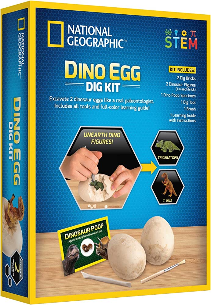 NG DINO EGG DIG KIT