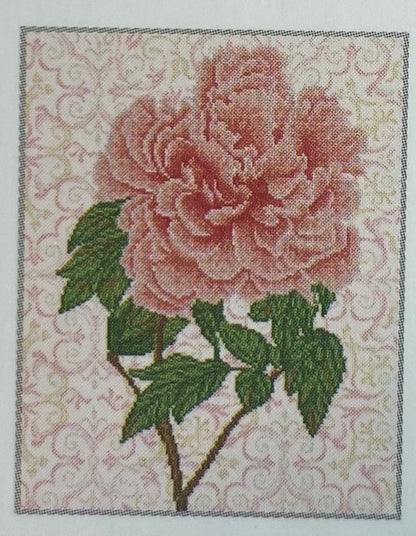 Diamond Dotz Med Blush Rose