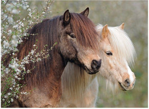 PUZZLE 150PC PERFECT PONIES