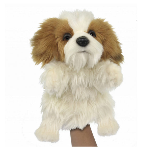 HANSA PUPPET SHIHTZU