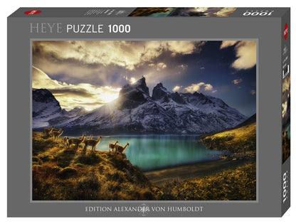 PUZZLE 1000PC VON HUMBOLDT GUANACOS