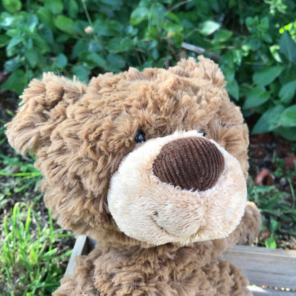 Gund Bear Pinchy 43Cm Brown